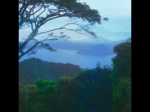 [FREE] clams casino x yung lean x cloud rap type beat - "flower"