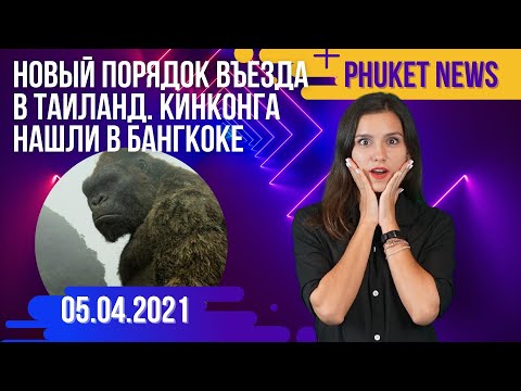 Недвижимость на Пхукете. Новости Таиланда. Новый порядок въезда в Таиланд.Кинконга нашли в Бангкоке