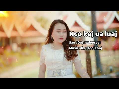 Nco koj ua luaj - Zoo xyooj 2025
