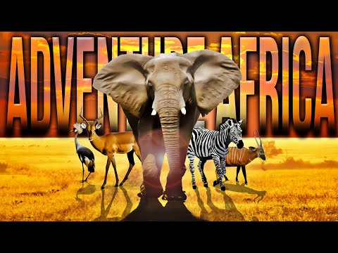 Zoo Tours: The Brand New! Adventure Africa | Milwaukee County Zoo (60 FPS)