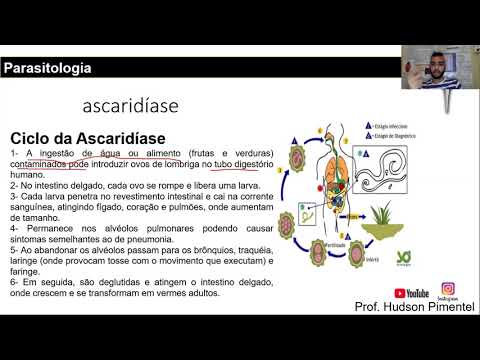 AULA 05 - ASCARIDÍASE - PARASITOLOGIA BÁSICA | PROFESSOR HUDSON PIMENTEL