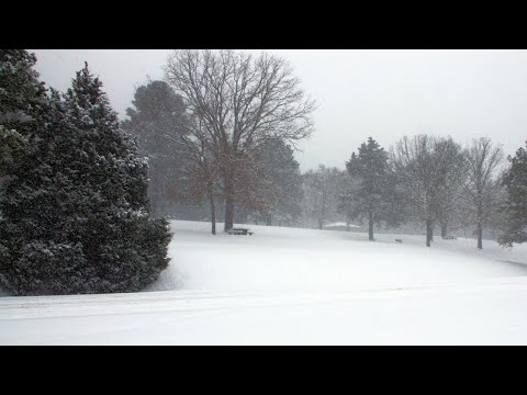 Snowstorm and howling wind sounds to calm your mind and guide you into deep sleep or meditation.