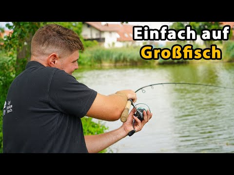 Feeder fishing with little effort | Quick and easy for carp, bream, sturgeon, etc.
