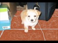 Avicii ft Madonna Two Steps Behind Me 