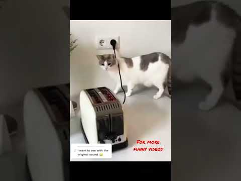 try to not laugh..😂😂