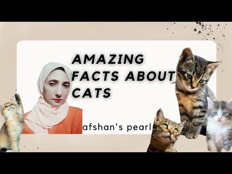 Amazing facts about cats |facts about cats |cats facts |cats videos | tip facts about cats |kittens