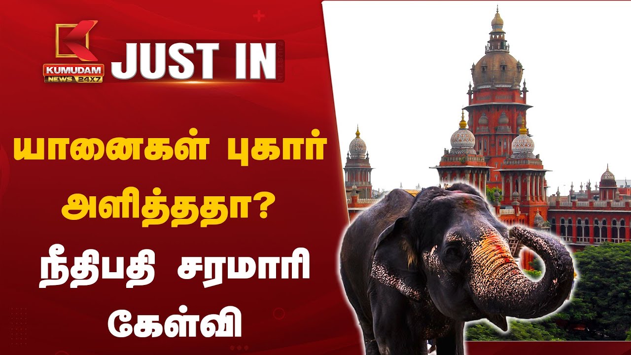 யானைகள் புகார் அளித்ததா? - நீதிபதி சரமாரி கேள்வி