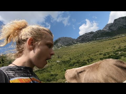 vřelý lidumil vředy lidu myl