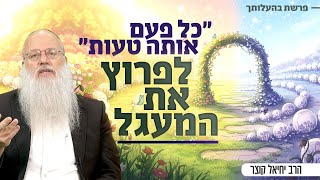 סליחה שמשחררת: איך להיוולד מחדש מתוך הכישלונות שלך | פרשת בהעלותך (הרב יחיאל קוצר) - התמונה מוצגת ישירות מתוך אתר האינטרנט יוטיוב. זכויות היוצרים בתמונה שייכות ליוצרה. קישור קרדיט למקור התוכן נמצא בתוך דף הסרטון