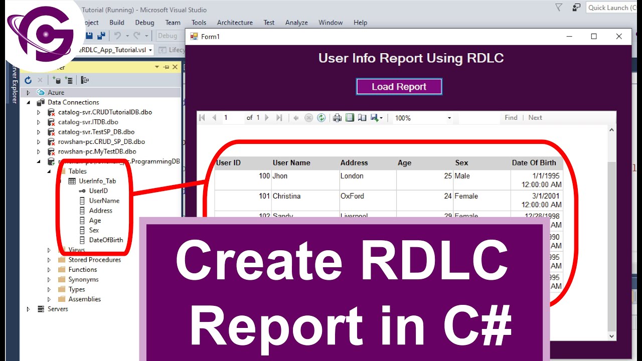 Create RDLC Report in C# with SQL Step by Step | ProgrammingGeek