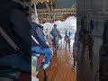 Jane's Carousel #brooklyn #dumbo #carousel #horses #newyork #brooklynbridge