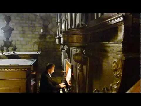 Ave Maria de PARKINSON As i kneel before you Harmonisation J.P.LECOT Pierre ASTOR orgue Neufchateau