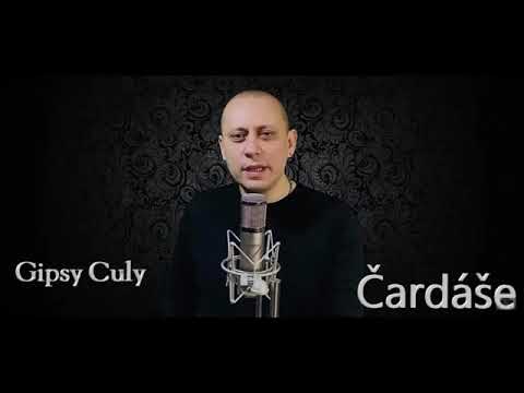 Gipsy Culy mix  cardase 2020