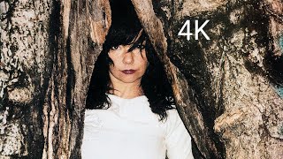björk : nature is ancient/my snare (tour visual) [AI] (UHD) [4K] [surrounded]