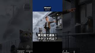 【観光交通英語】悪天候で運休!? チケットの払い戻し・振替を説明するフレーズ