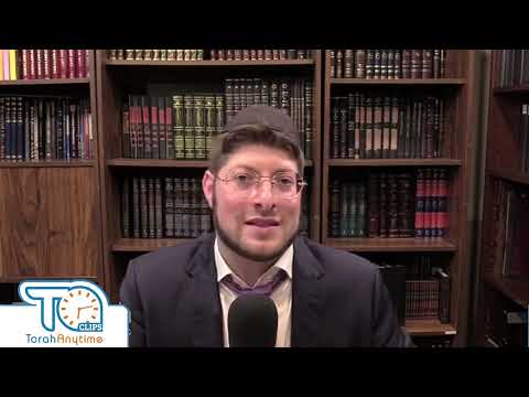 Malachim On Shabbat - R. Meir Simcha Sperling - TorahAnytime.com