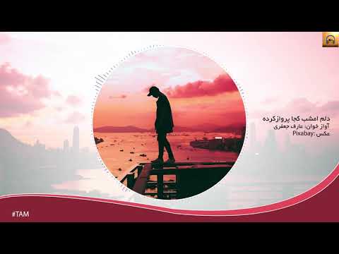 Aref Jafari دلم امشب کجا پرواز کرده؟