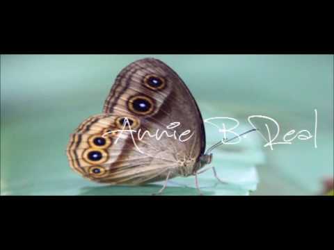 Video thumbnail for Empty