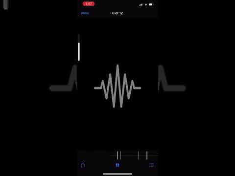 Lonzo Capone - Privacy (unreleased)