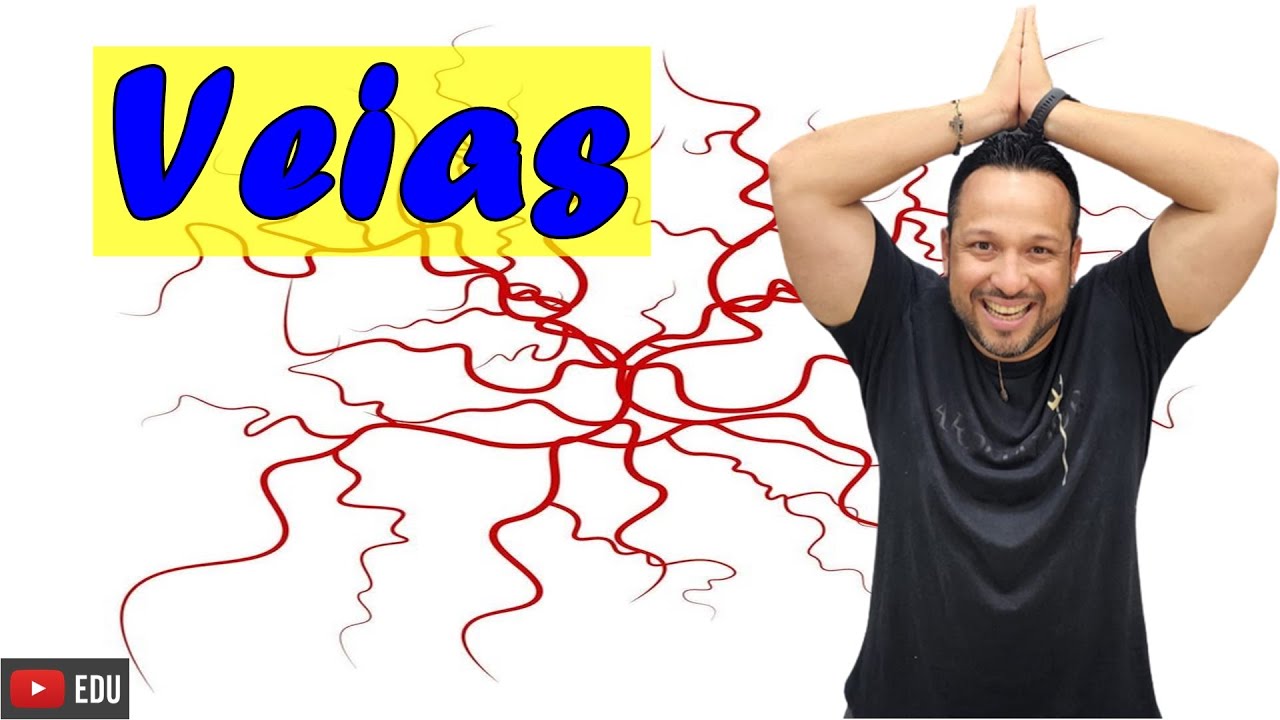 Veia - Características Gerais e Funções - Tipos de Vasos Sanguíneos - Sistema Cardiovascular