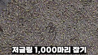 스타2 실험실 : 저글링 1,000마리를 누가 잘잡나
