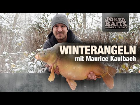 Karpfenangeln im Winter - mit Maurice Kaulbach