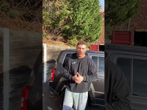 L-Arginine For Pregnant Women