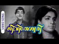 Jeevitheshwari Super Hit Malayalam Movie Song Ladies Hostel Ft Prem Nazir Jayabharathi