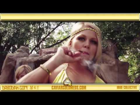 Kurupt ft  Dr  Zodiak & King Lil G "Caviar & Champagne" Official Music VIdeo