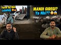 Will Mandi Fall Or Not Raja Beopari Told The Real Truth Loading Done From The Farm