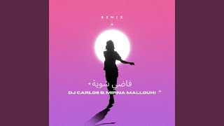 فاضي شوية remix