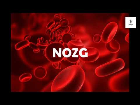 NOZG - Malungu (Paroles)