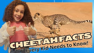 Wild Adventures: Amazing Cheetah Facts Every Kids Should Know!