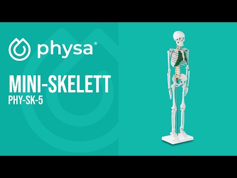 Video - Mini-Skelett - 83 cm