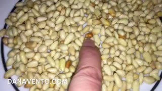 How to toast pine nuts In Under One Minute