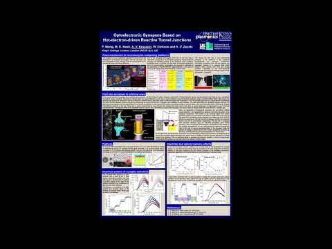RPLAS - London Plasmonics Forum 2021 - Flash Poster Presntation - Alexey Krasavin