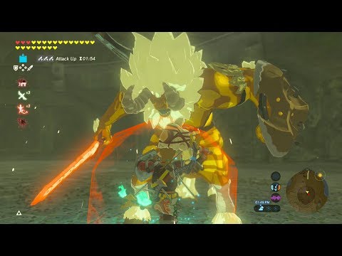 GOLD LYNEL FIGHT NO DAMAGE - Zelda Breath of the Wild