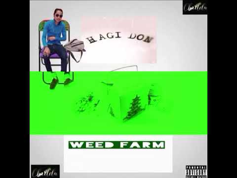 hagi don  weed farm