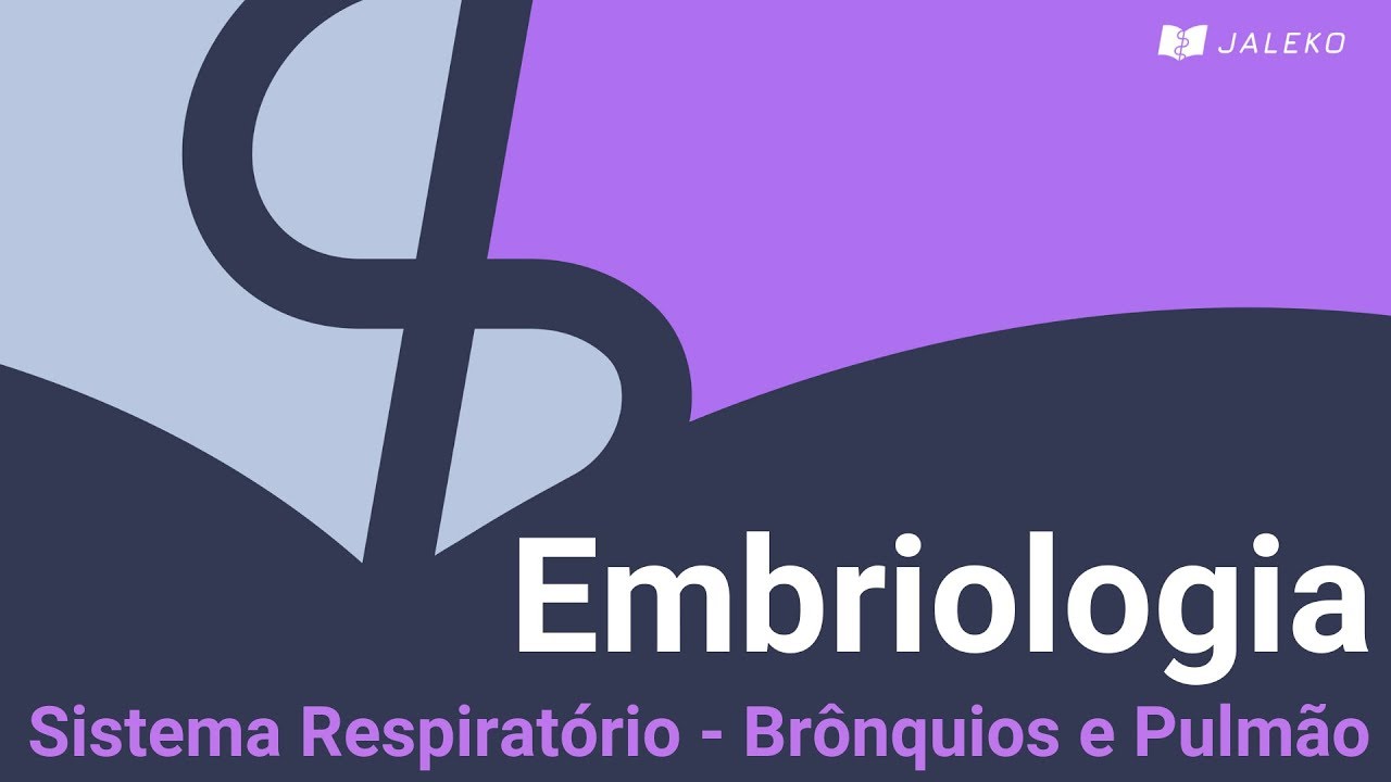 Embriologia: Sistema Respiratório - Brônquios e Pulmão