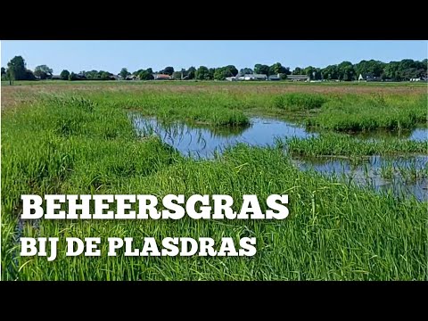 Na veel weidevogels kan het beheersgras GEMAAID worden! | Boer Gerrit vlogt
