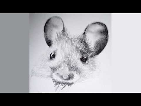 download lagu mp3 mp4 Diary Of A Church Mouse, download lagu Diary Of A Church Mouse gratis, unduh video klip Diary Of A Church Mouse