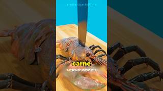 O jeito certo de tirar TODA a carne da lagosta 🦞