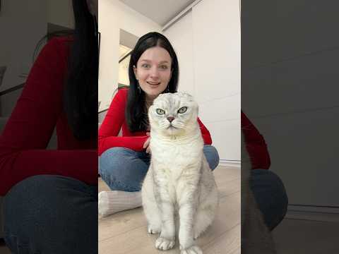 Me and my cat tested the weirdest life hack on the internet 😂 #cats #viralhacks #catlife #funnycat