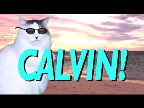 HAPPY BIRTHDAY CALVIN! - EPIC CAT Happy Birthday Song