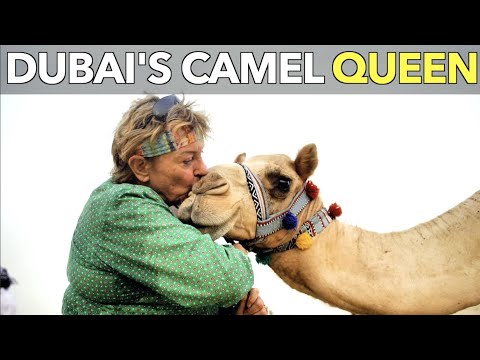 迪拜的駱駝皇后 (Dubai's Camel Queen)