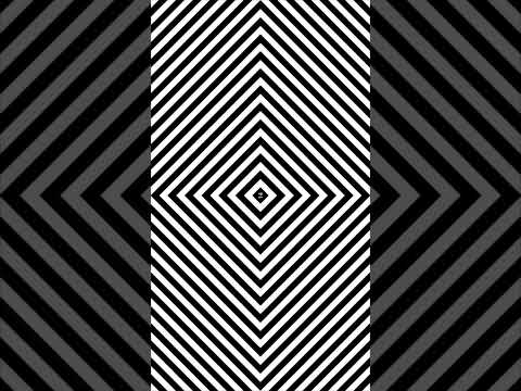 The Mushroom Illusion 😳