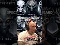 The Truth About Alien Species Greys Tall Whites Reptilians More Joe Rogan Experience