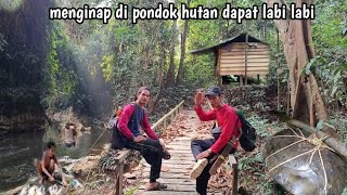 Download lagu 3 Days 2 Nights Fishing in the Upper Reaches of the Kalimantan River, Caught a Super Large Softsh... mp3