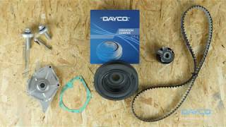 DAYCO Timing Belt