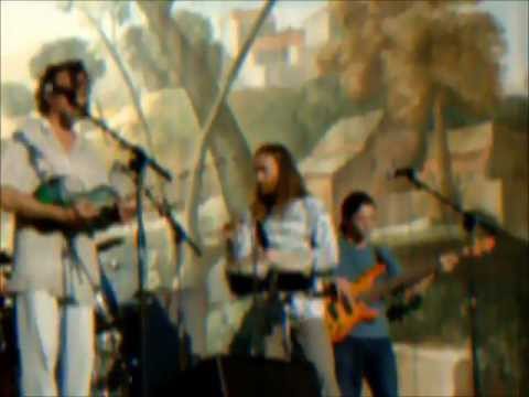 Dave Hum - The Huckleberries - 2003 Larmer Tree Festival